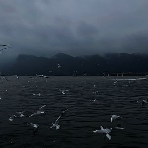 玩弄涨奶孕妇到高潮
